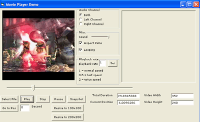 VISCOM FLV Player SDK ActiveX 7.5 : Main Window